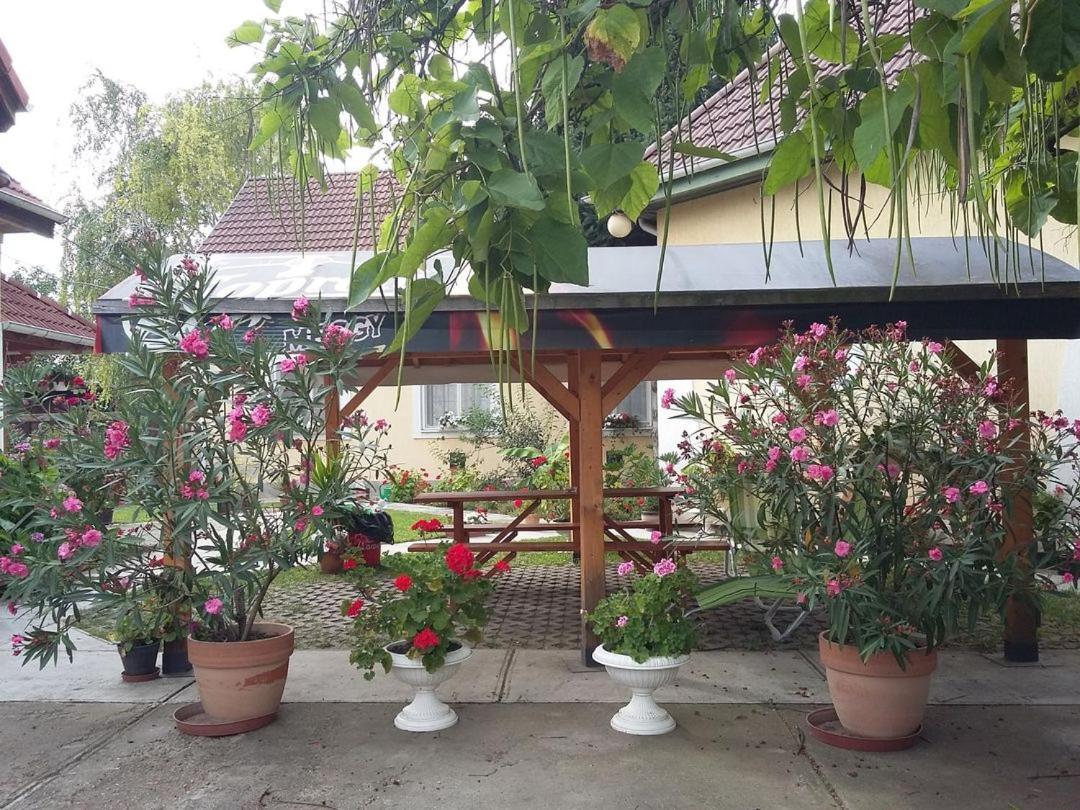 Bed and Breakfast Harang Panzio à Gyomaendrőd Extérieur photo