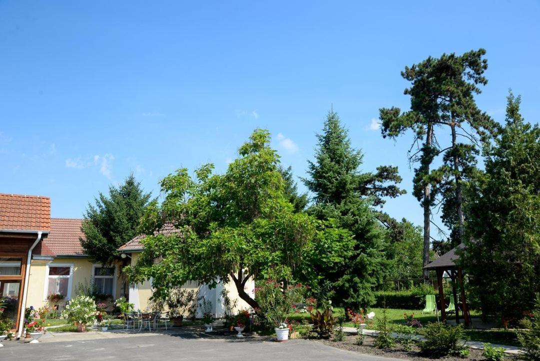 Bed and Breakfast Harang Panzio à Gyomaendrőd Extérieur photo